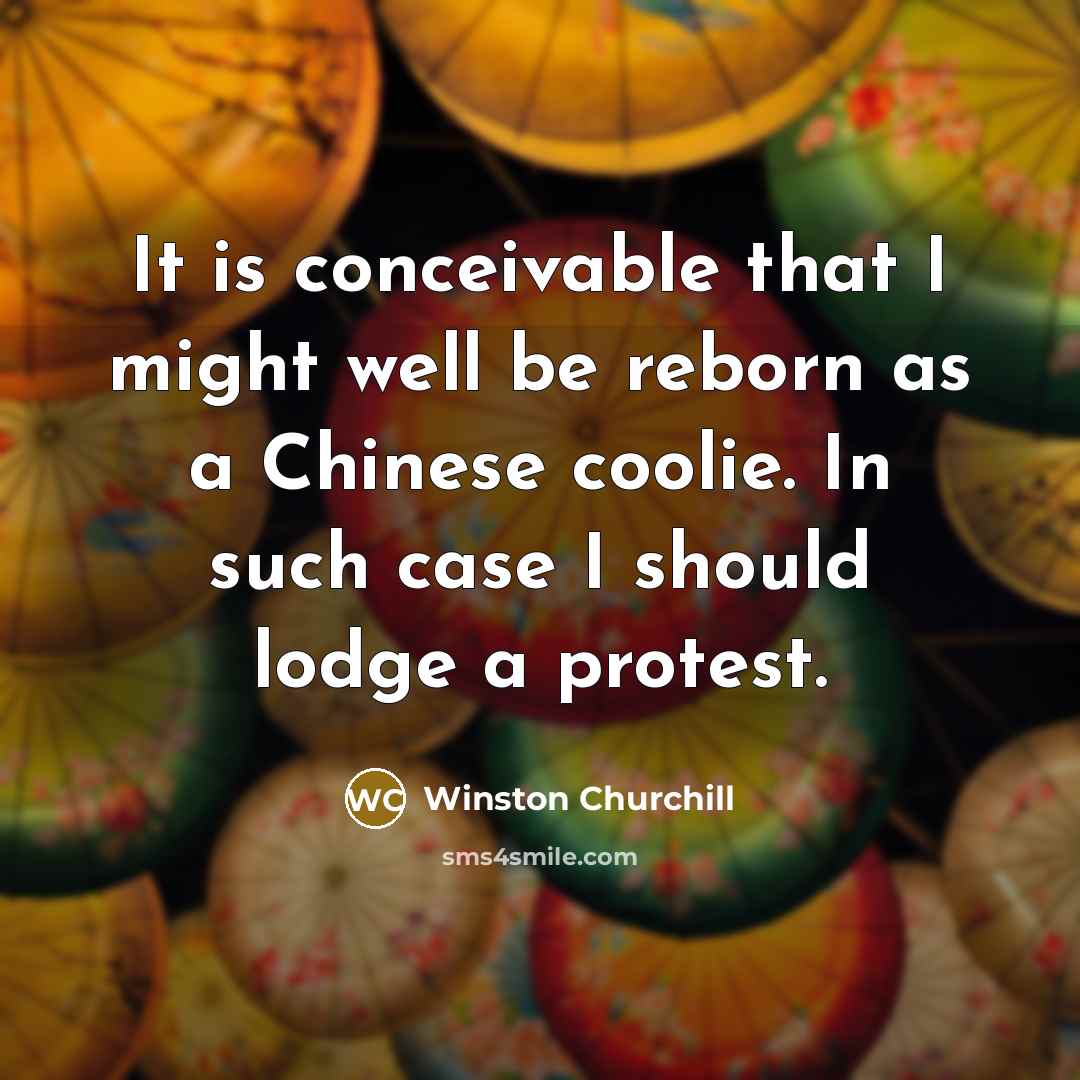 “It is conceivable that I might well be reborn as…” quote by Winston Churchill