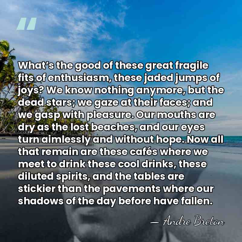 What’s the good of these great fragile fits of enthusiasm, these jaded&hellip; - Andre Breton
