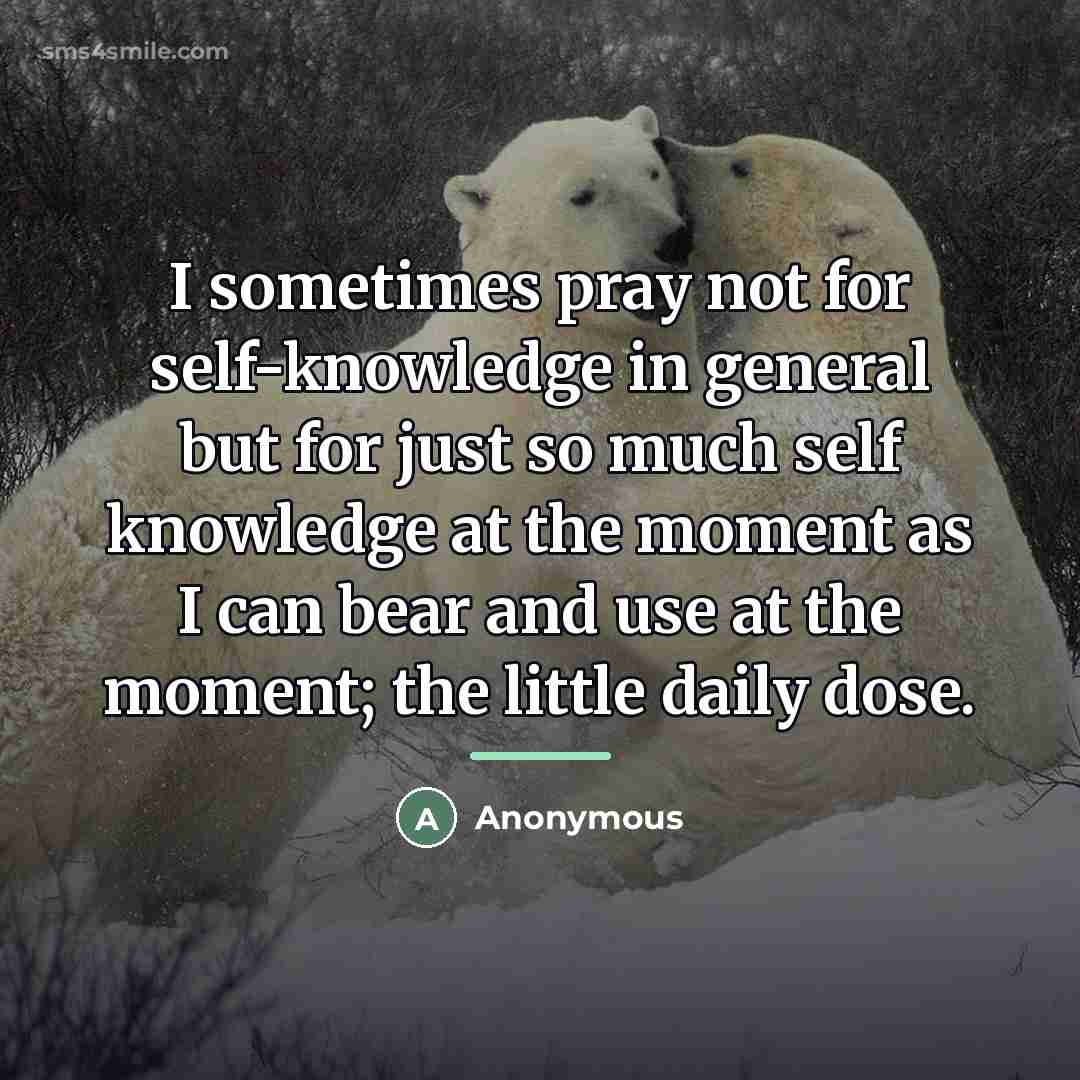 “I sometimes pray not for self-knowledge in general but for…” quote by Anonymous