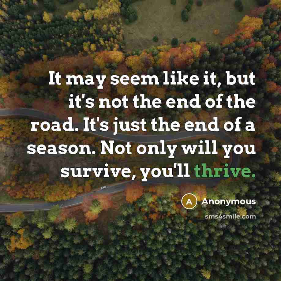“It may seem like it, but it's not the end…” quote by Anonymous