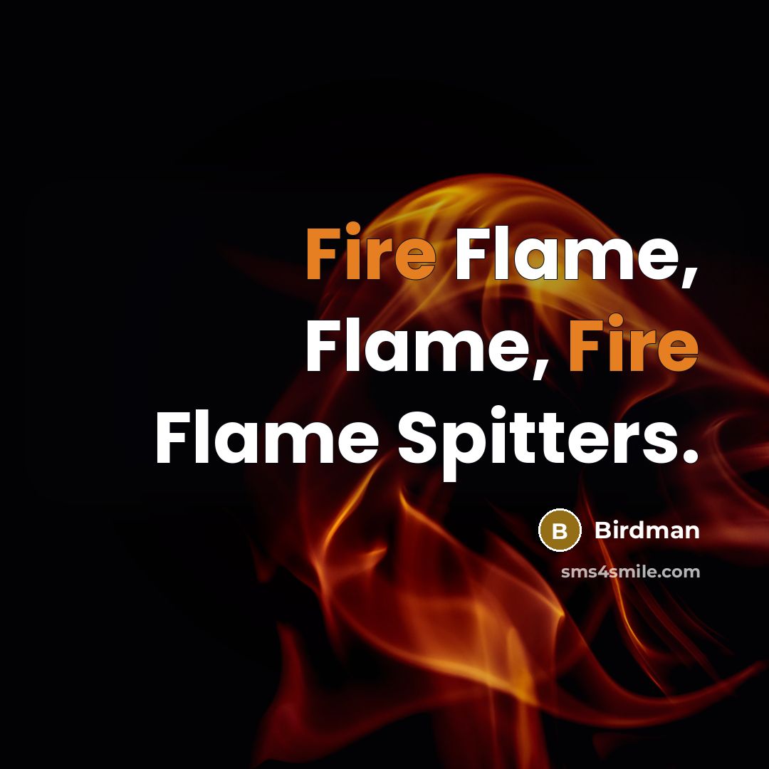 “Fire Flame, Flame, Fire Flame Spitters.” quote by Birdman
