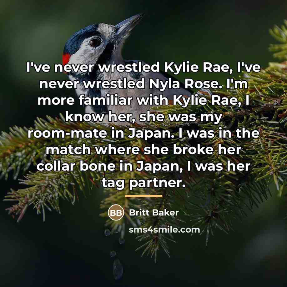 “I've never wrestled Kylie Rae, I've never wrestled Nyla Rose.…” quote by Britt Baker