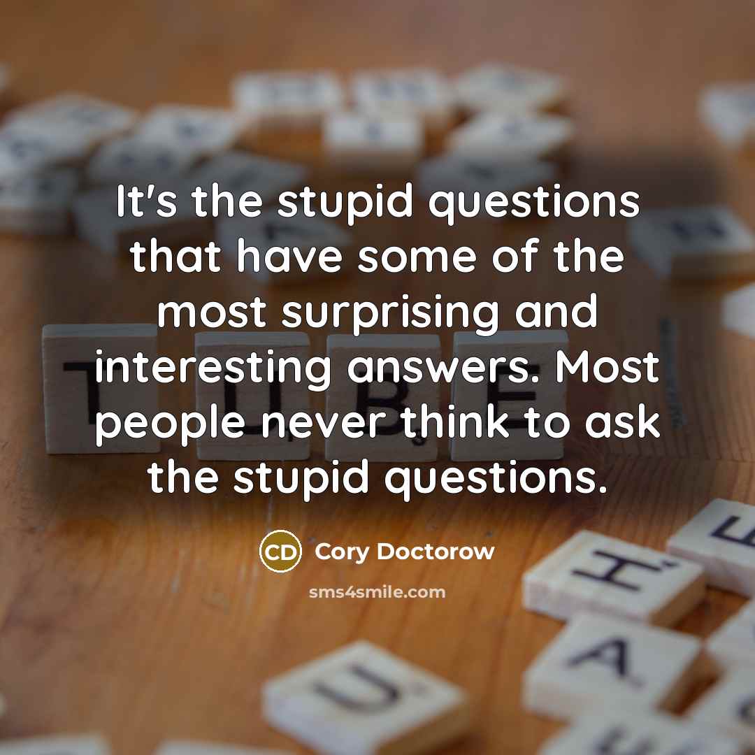 “It's the stupid questions that have some of the most…” quote by Cory Doctorow
