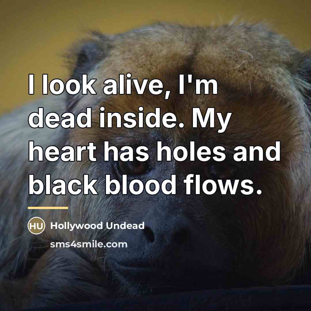 “I look alive, I'm dead inside. My heart has holes…” quote by Hollywood Undead