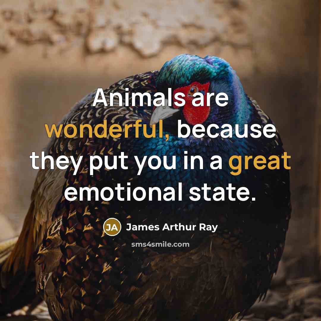 “Animals are wonderful, because they put you in a great…” quote by James Arthur Ray