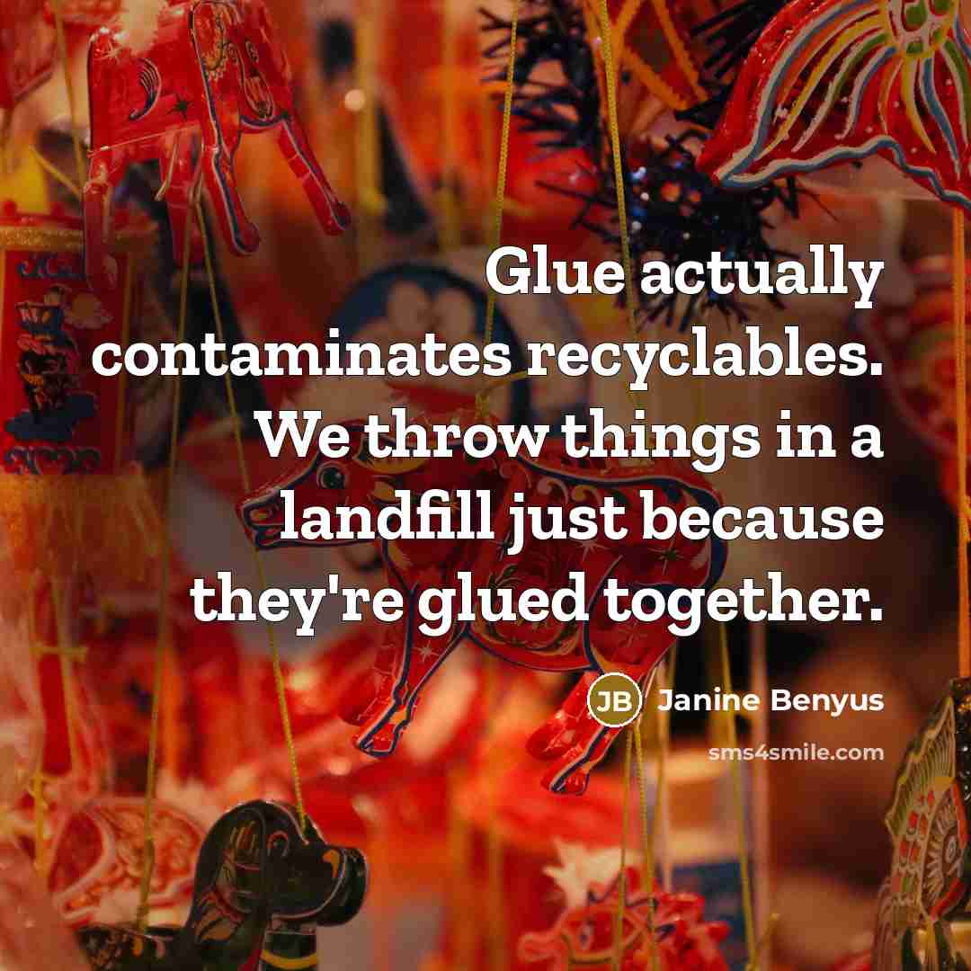 “Glue actually contaminates recyclables. We throw things in a landfill…” quote by Janine Benyus