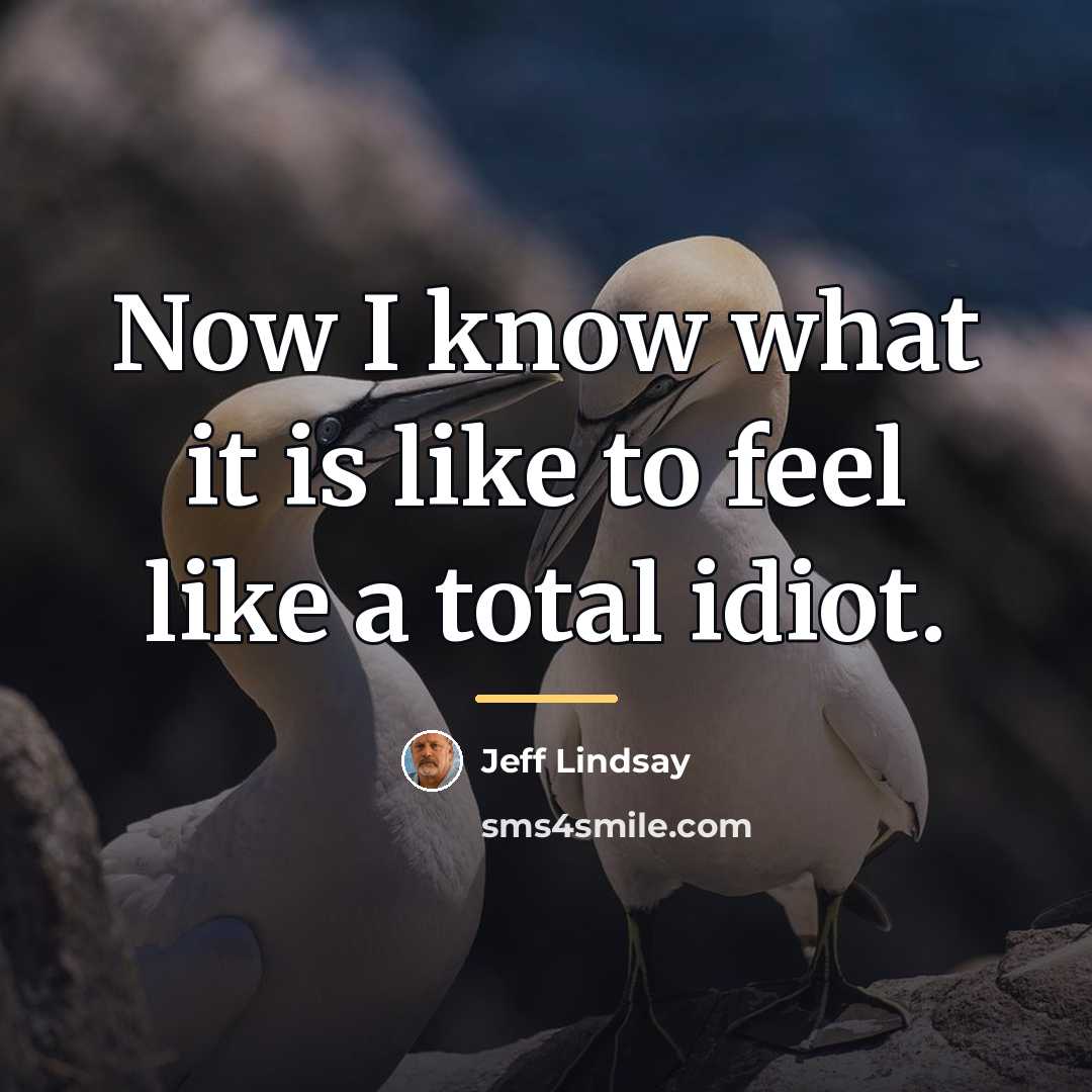 “Now I know what it is like to feel like…” quote by Jeff Lindsay