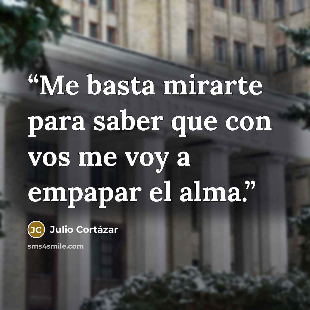 “Me basta mirarte para saber que con vos me voy a empapar el alma.” quote by Julio Cortázar