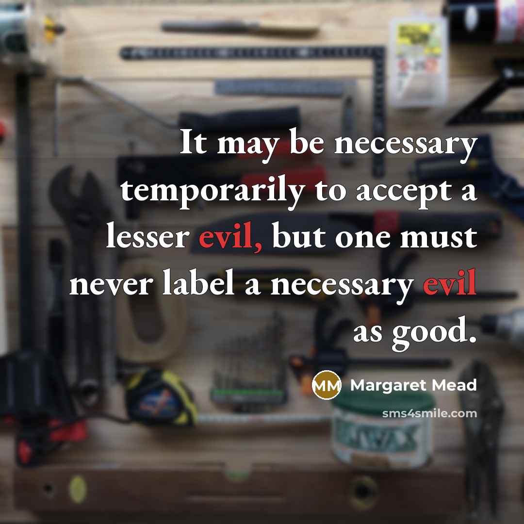 “It may be necessary temporarily to accept a lesser evil,…” quote by Margaret Mead