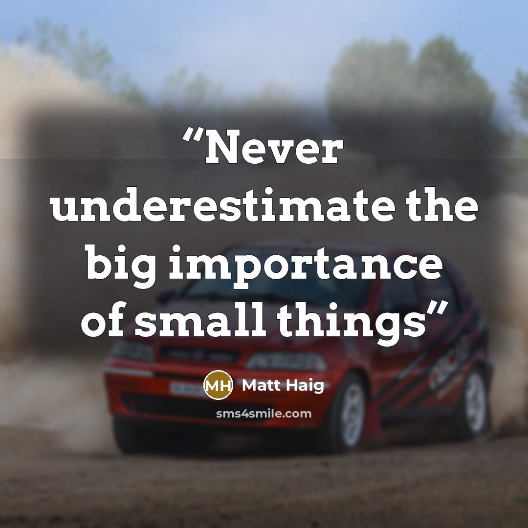“Never underestimate the big importance of small things” quote by Matt Haig