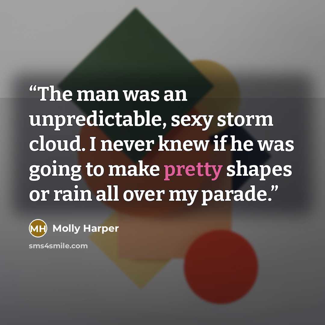“The man was an unpredictable, sexy storm cloud. I never knew if he was going to make pretty shapes or rain all over my parade.” quote by Molly Harper