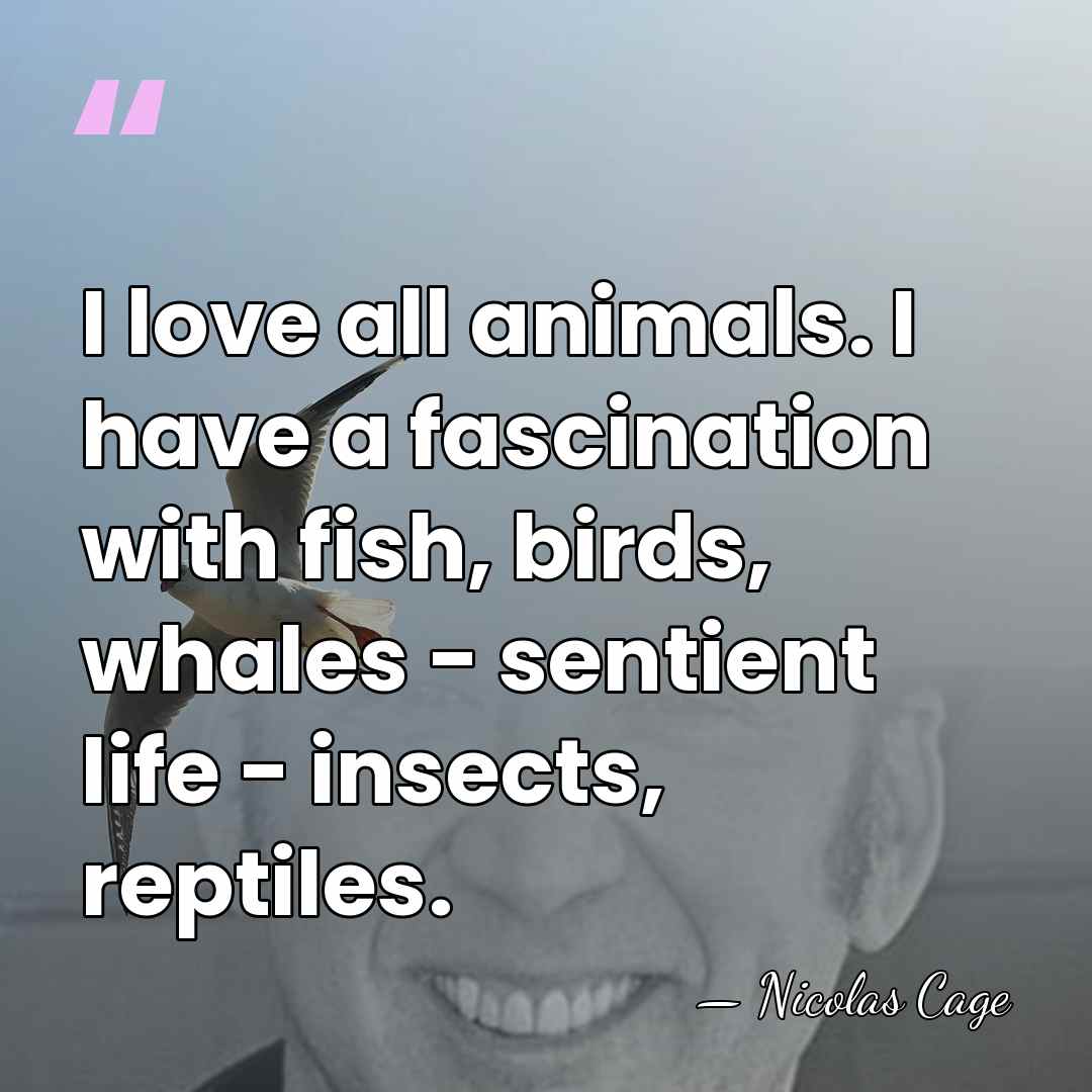 I love all animals. I have a fascination with fish, birds, whales&hellip; - Nicolas Cage