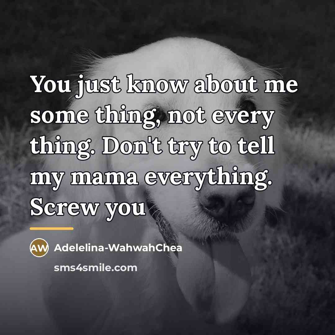 “You just know about me some thing, not every thing.…” quote by Adelelina-WahwahChea