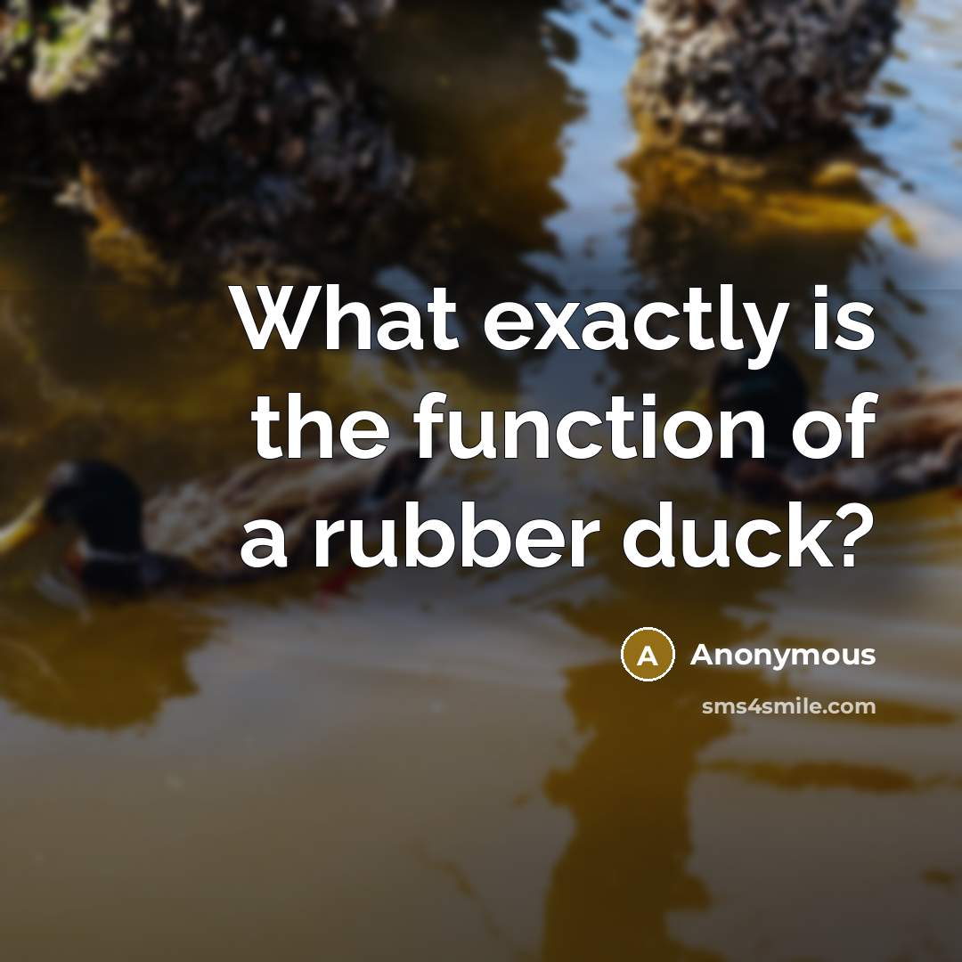 “What exactly is the function of a rubber duck?” quote by Anonymous
