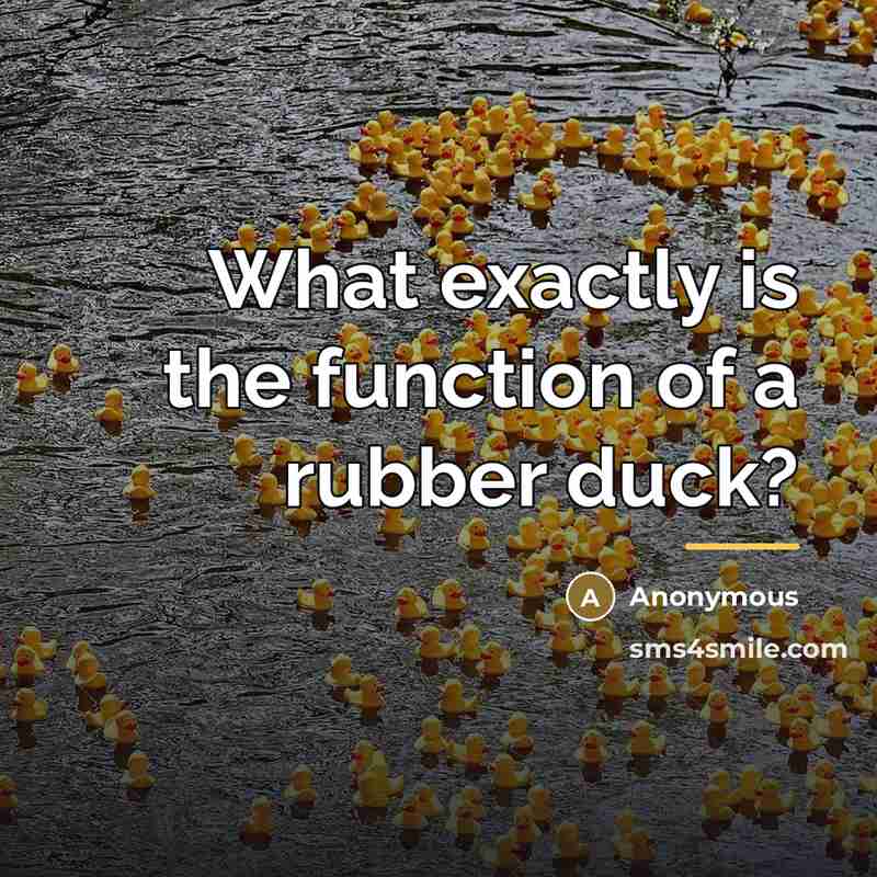 “What exactly is the function of a rubber duck?…” quote by Anonymous
