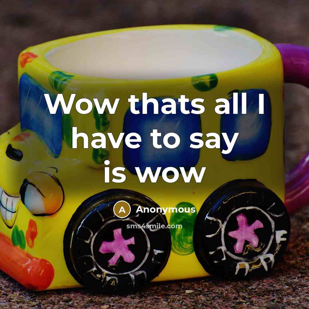 “Wow thats all I have to say is wow…” quote by Anonymous