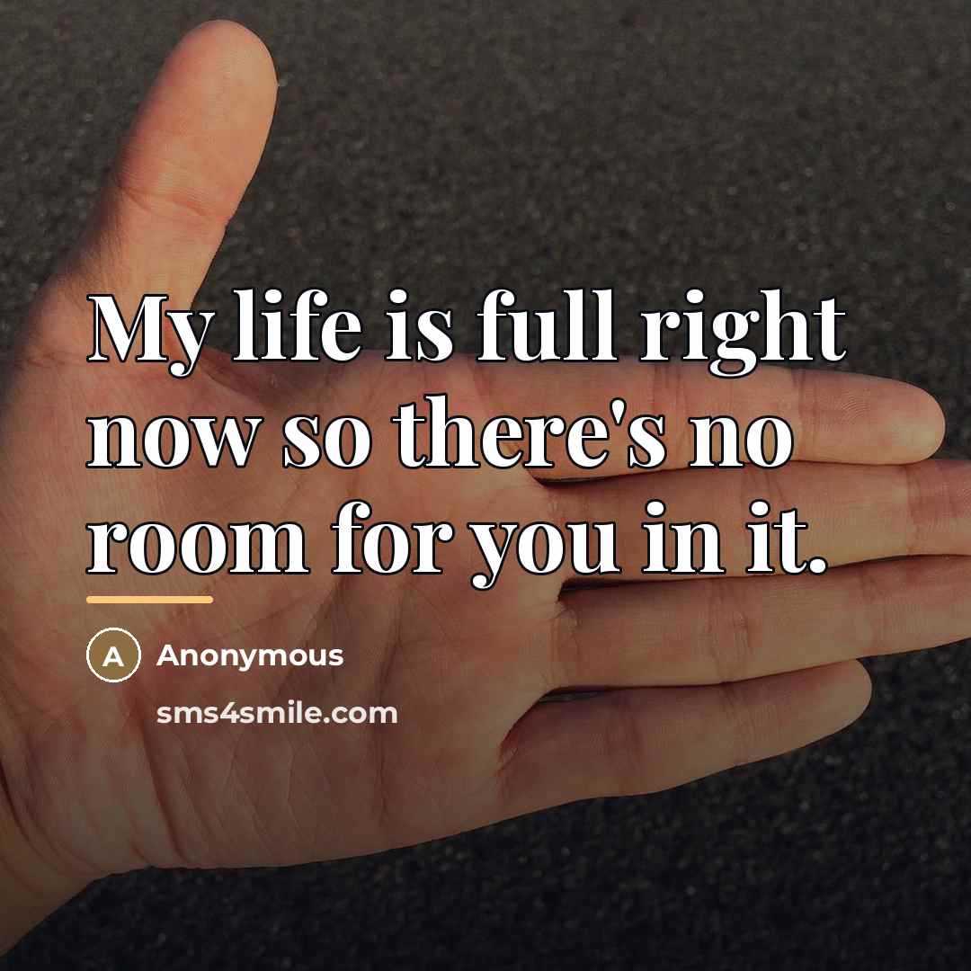 “My life is full right now so there's no room…” quote by Anonymous