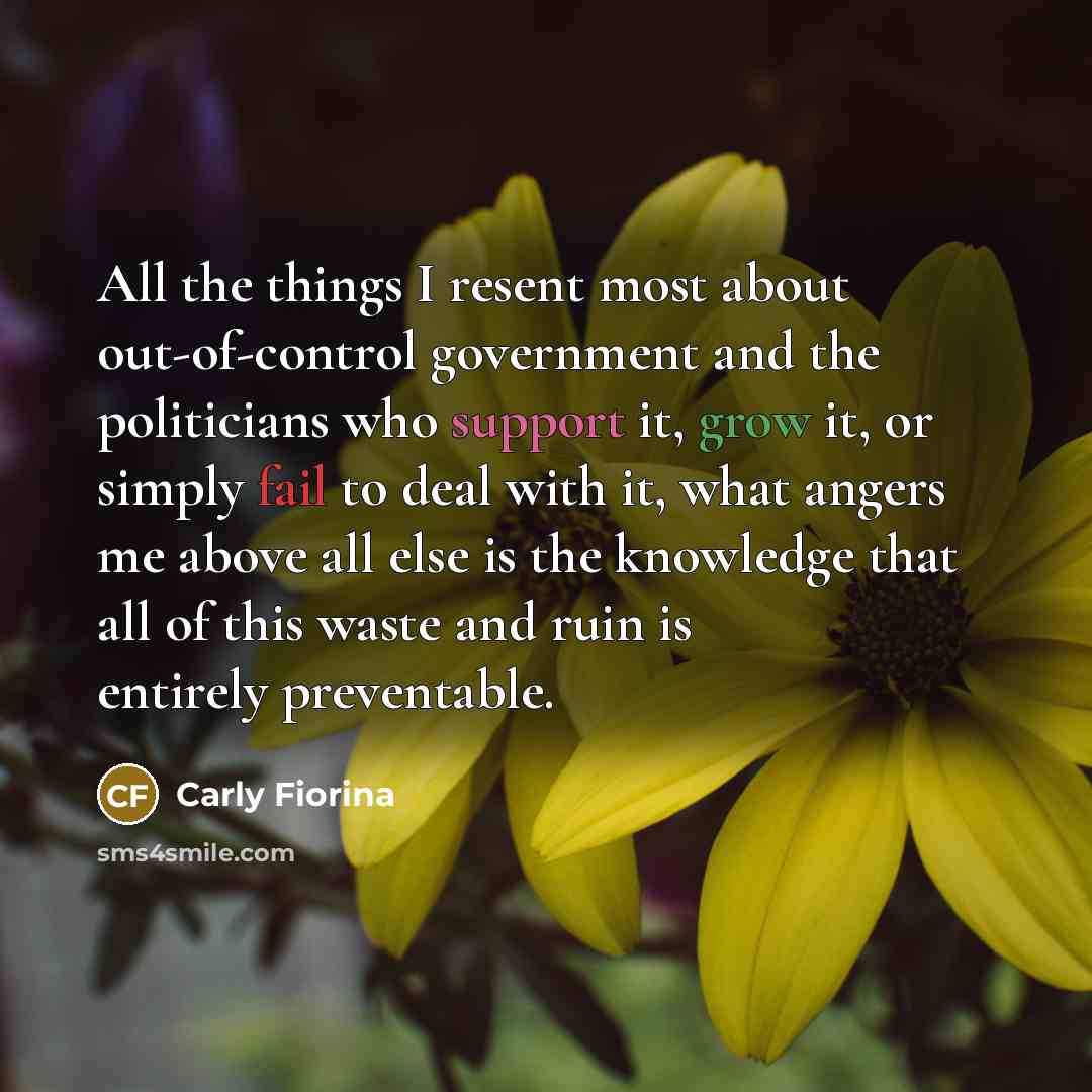 “All the things I resent most about out-of-control government and…” quote by Carly Fiorina