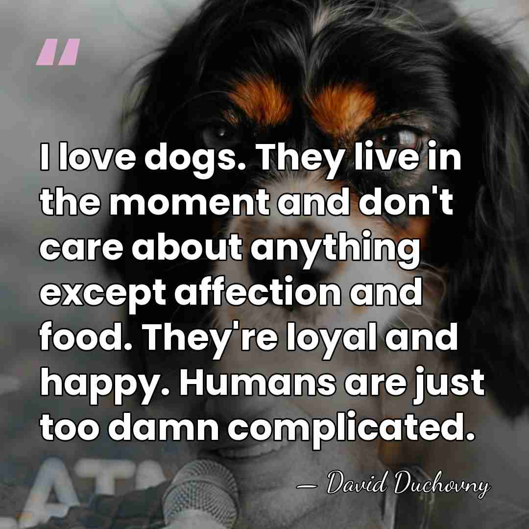 I love dogs. They live in the moment and don't care about&hellip; - David Duchovny
