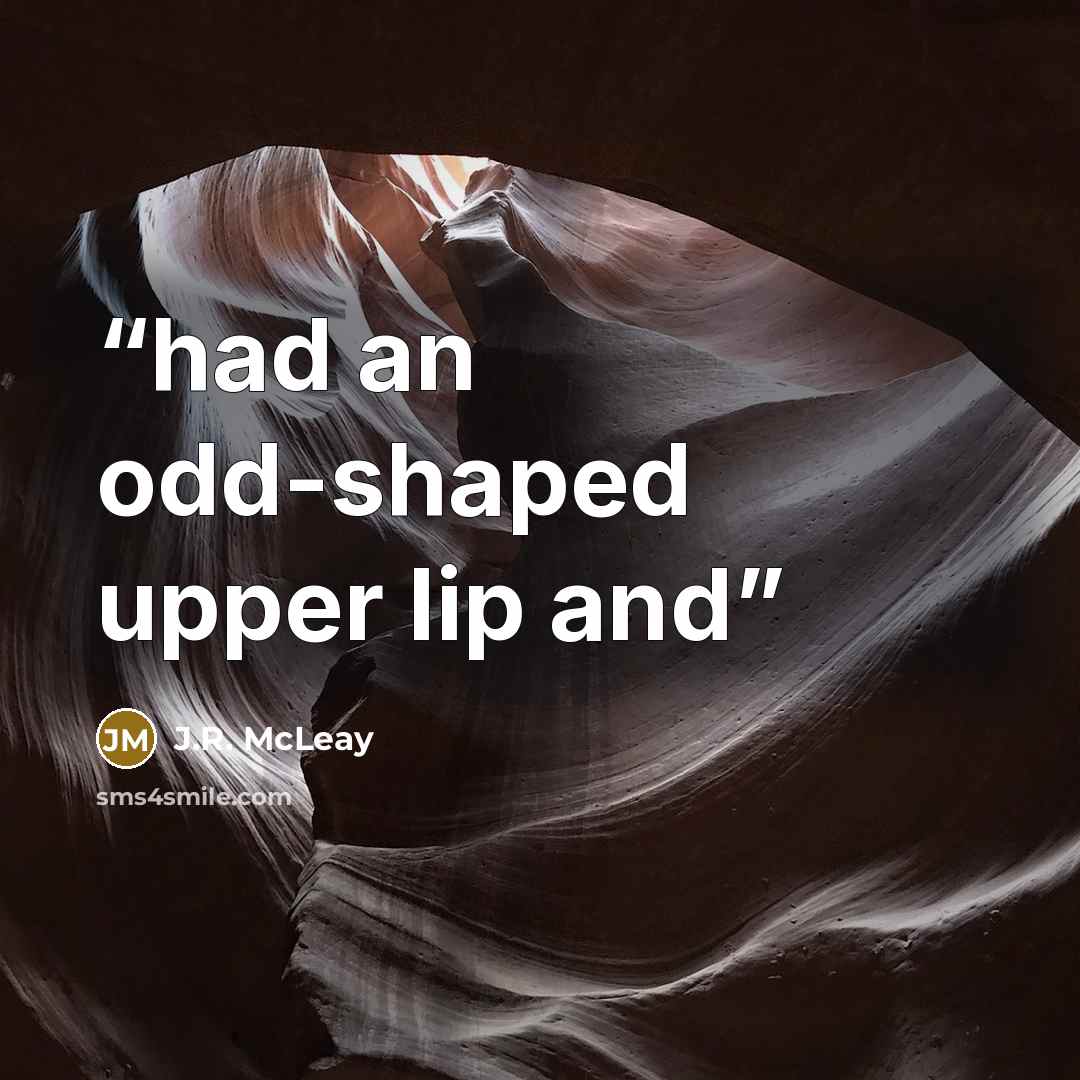 “had an odd-shaped upper lip and” quote by J.R. McLeay