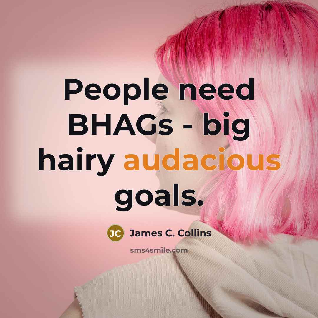 “People need BHAGs - big hairy audacious goals.…” quote by James C. Collins