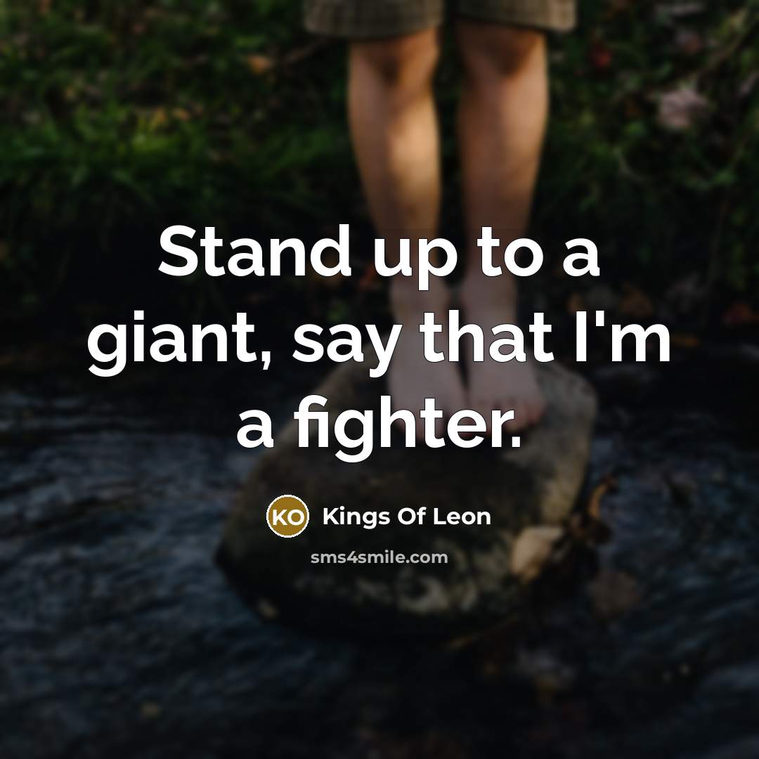 “Stand up to a giant, say that I'm a fighter.” quote by Kings Of Leon