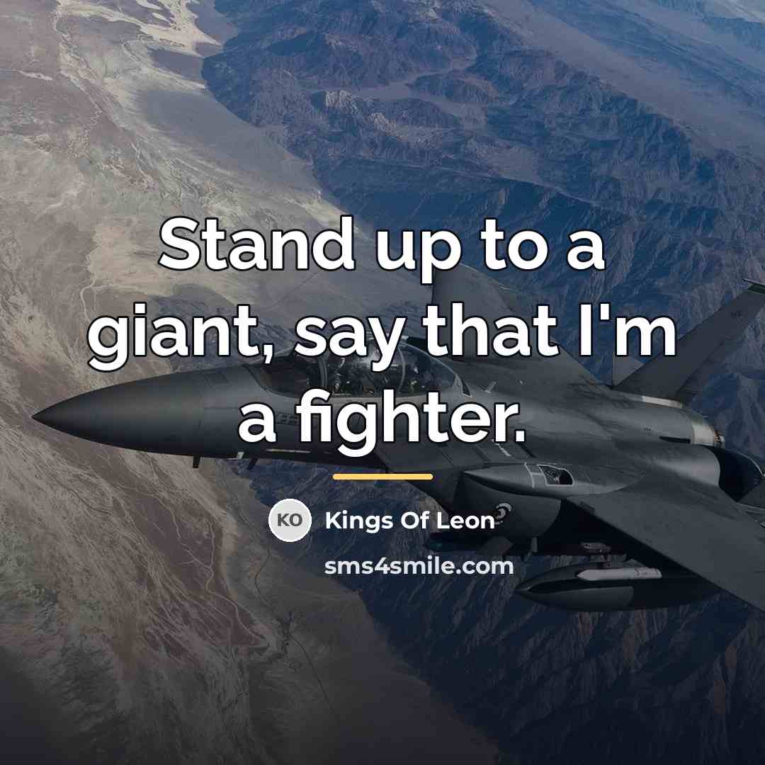 “Stand up to a giant, say that I'm a fighter.…” quote by Kings Of Leon