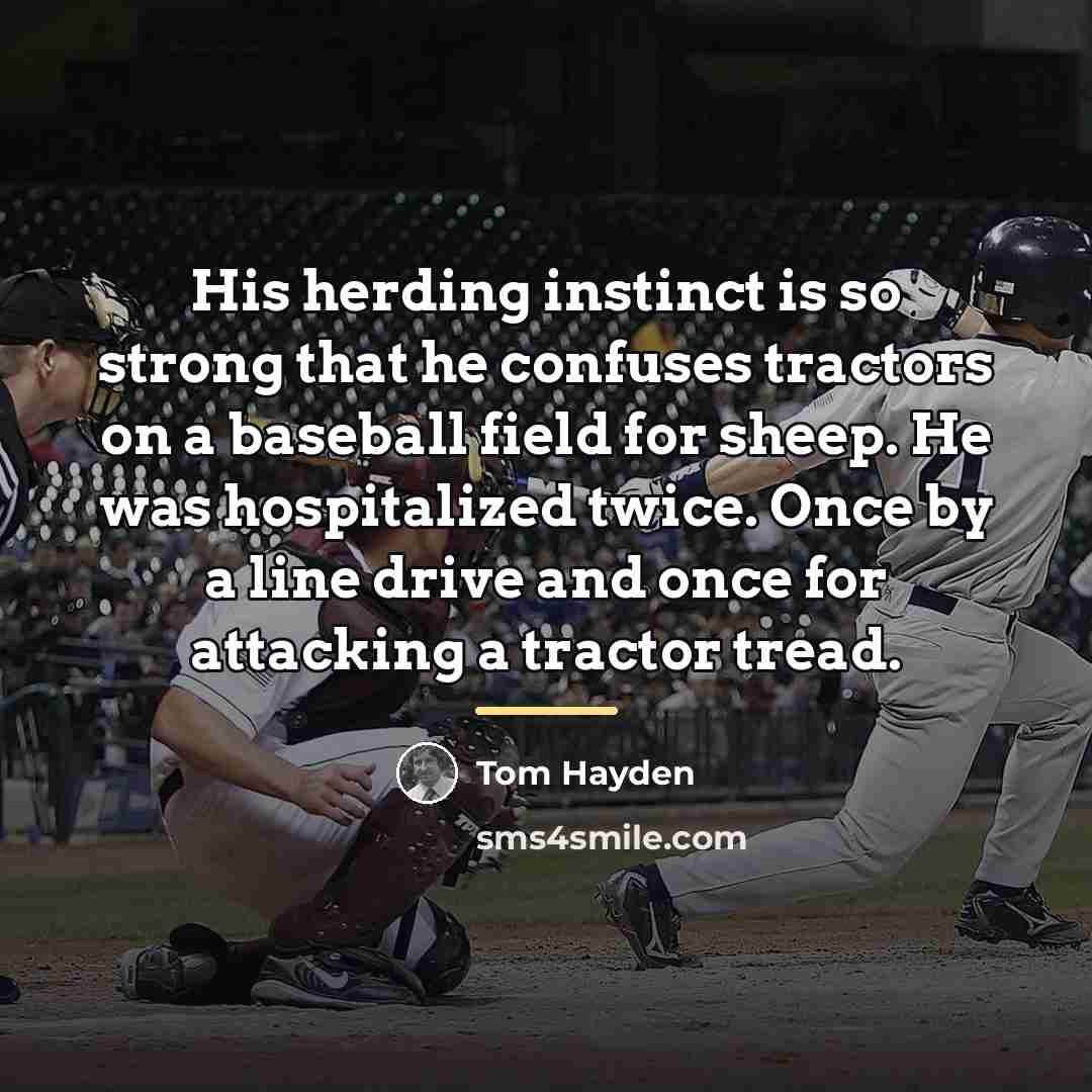 “His herding instinct is so strong that he confuses tractors…” quote by Tom Hayden