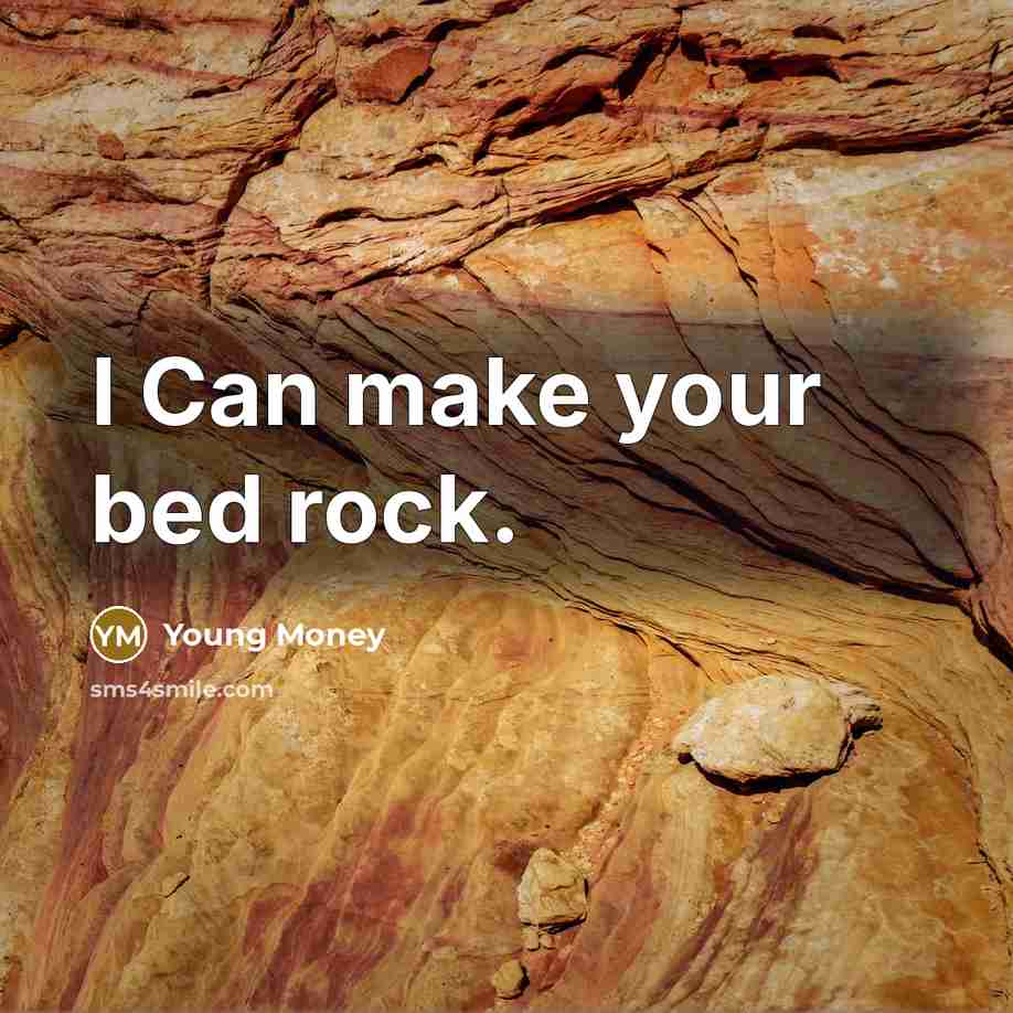 “I Can make your bed rock.…” quote by Young Money