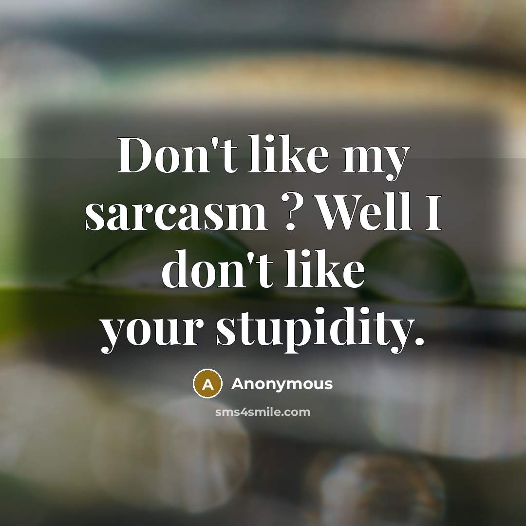 “Don't like my sarcasm ? Well I don't like your…” quote by Anonymous