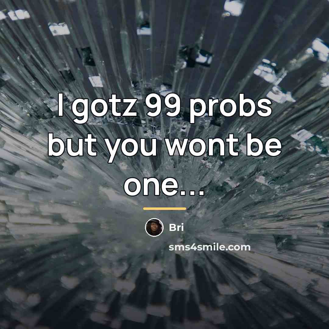 “I gotz 99 probs but you wont be one...…” quote by Bri