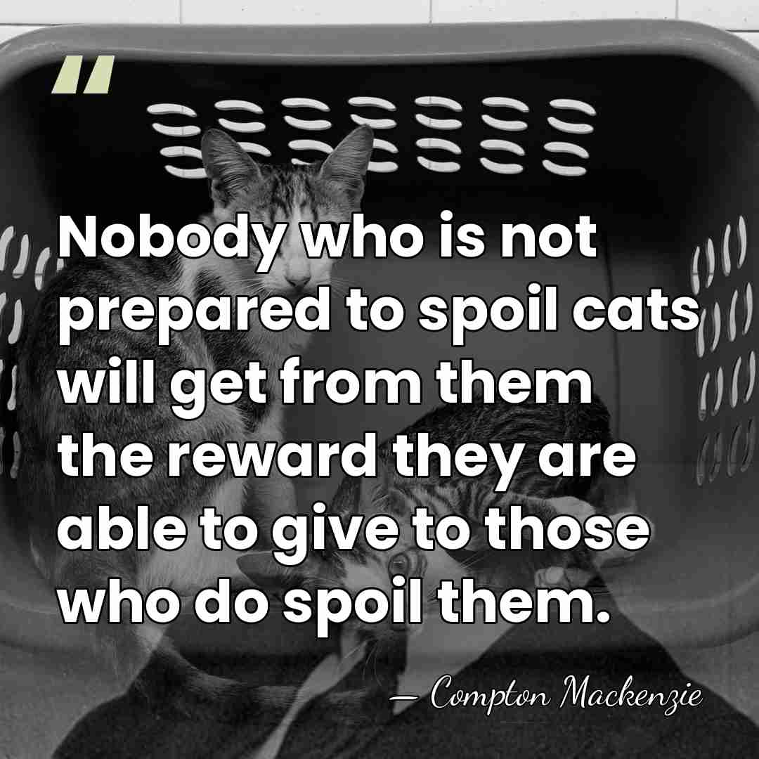 Nobody who is not prepared to spoil cats will get from them&hellip; - Compton Mackenzie