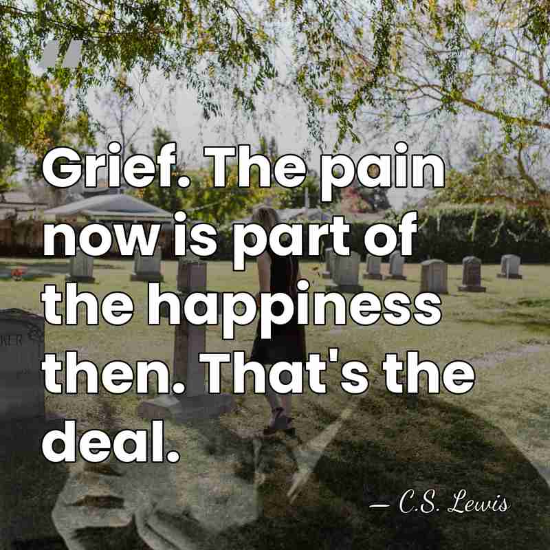 Grief. The pain now is part of the happiness then. That's the&hellip; - C.S. Lewis