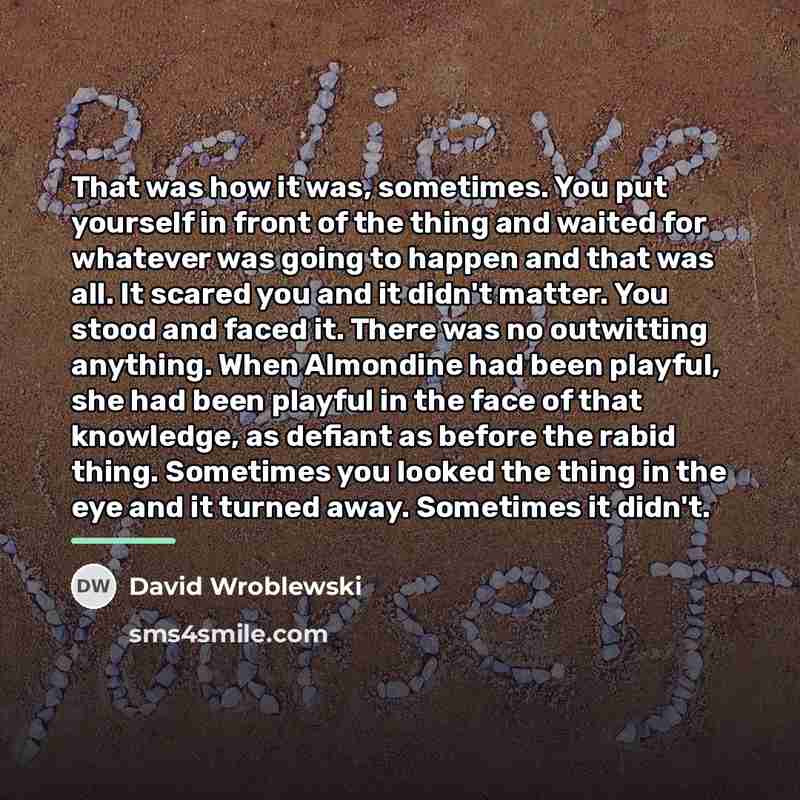 “That was how it was, sometimes. You put yourself in…” quote by David Wroblewski