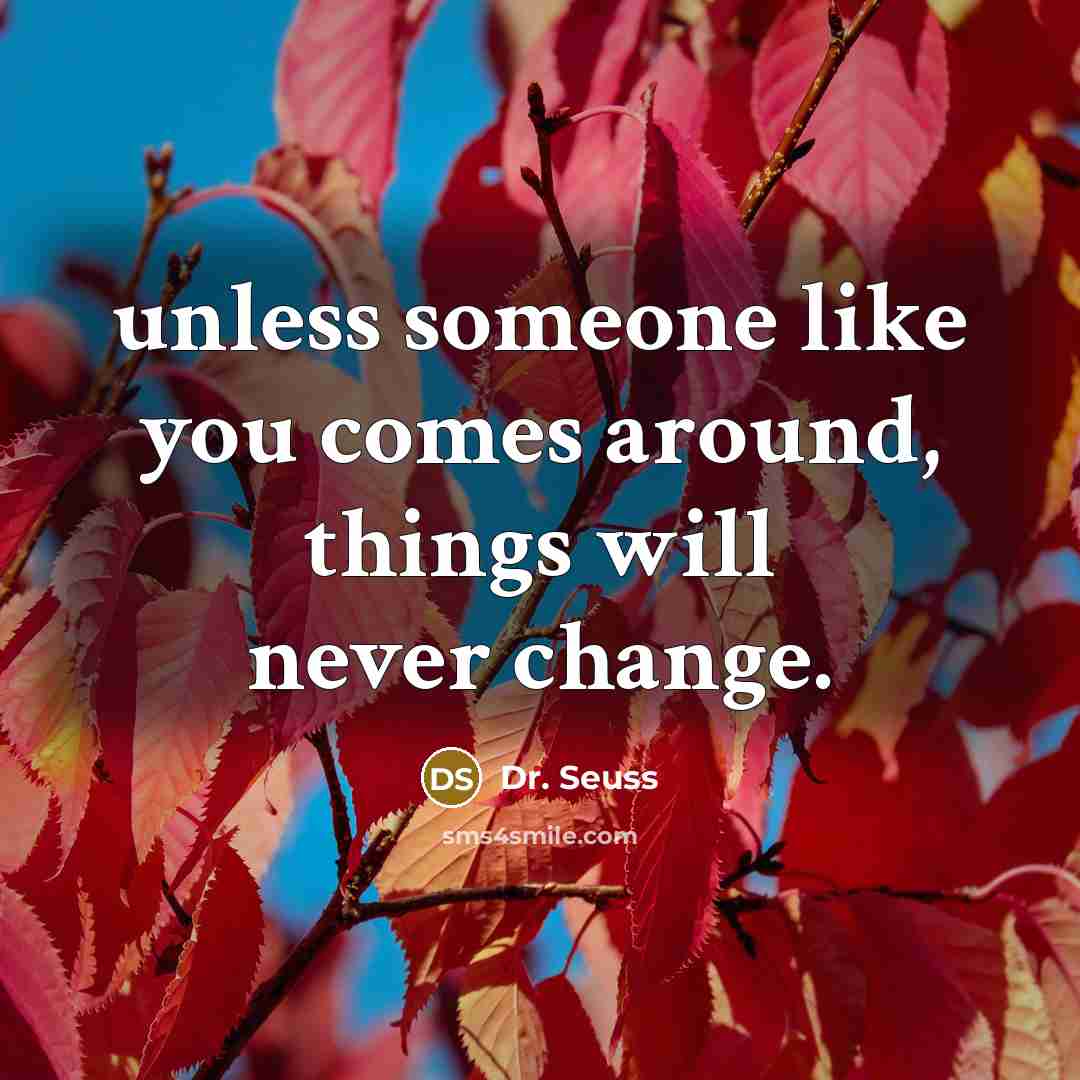 “unless someone like you comes around, things will never change.” quote by Dr. Seuss