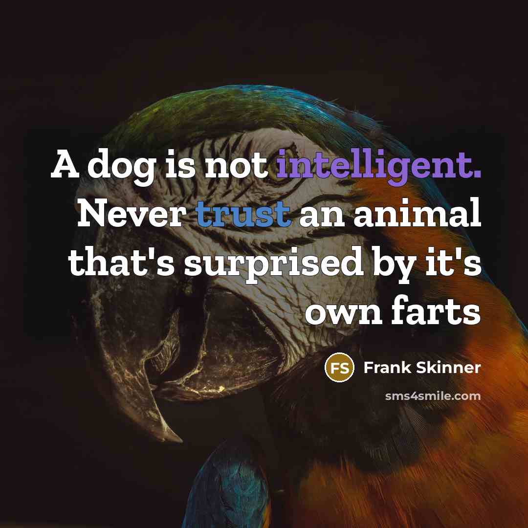 “A dog is not intelligent. Never trust an animal that's…” quote by Frank Skinner