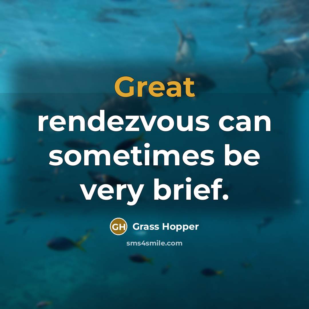 “Great rendezvous can sometimes be very brief.” quote by Grass Hopper