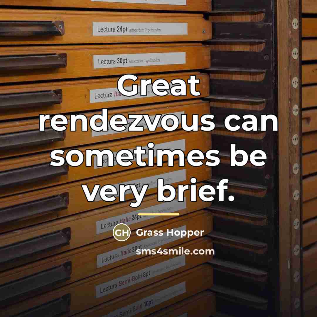 “Great rendezvous can sometimes be very brief.…” quote by Grass Hopper
