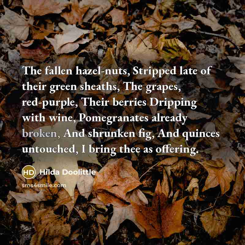 “The fallen hazel-nuts, Stripped late of their green sheaths, The…” quote by Hilda Doolittle