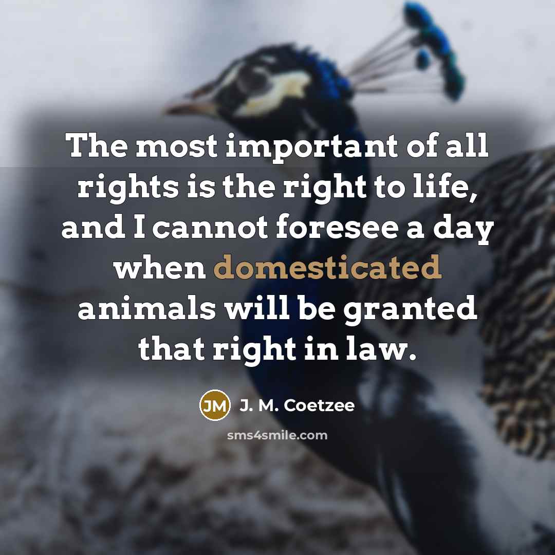 “The most important of all rights is the right to…” quote by J. M. Coetzee