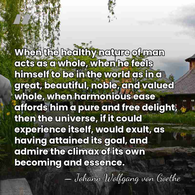 When the healthy nature of man acts as a whole, when he&hellip; - Johann Wolfgang von Goethe