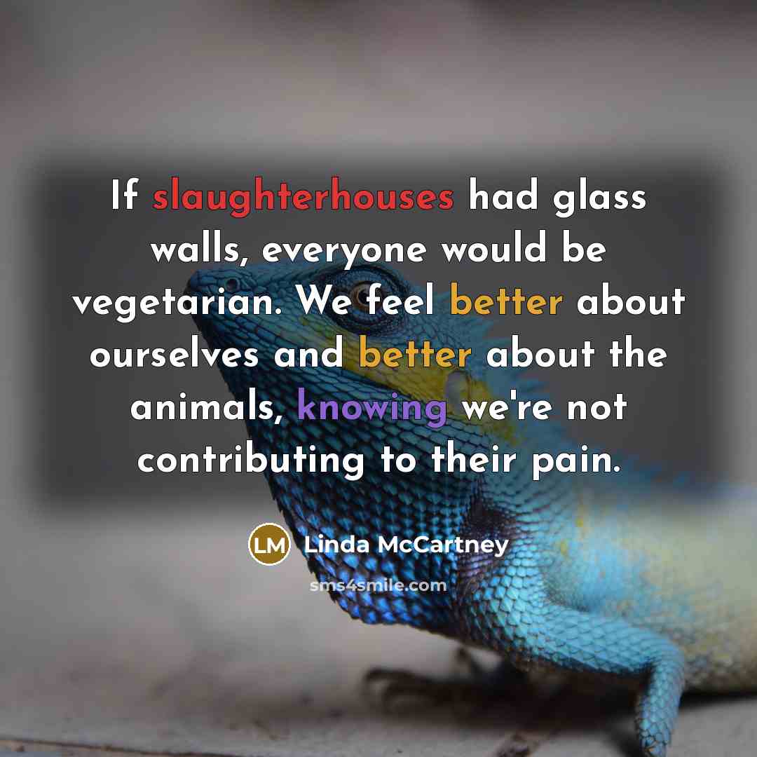 “If slaughterhouses had glass walls, everyone would be vegetarian. We…” quote by Linda McCartney