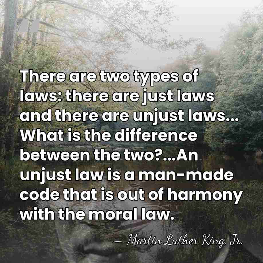 There are two types of laws: there are just laws and there&hellip; - Martin Luther King, Jr.