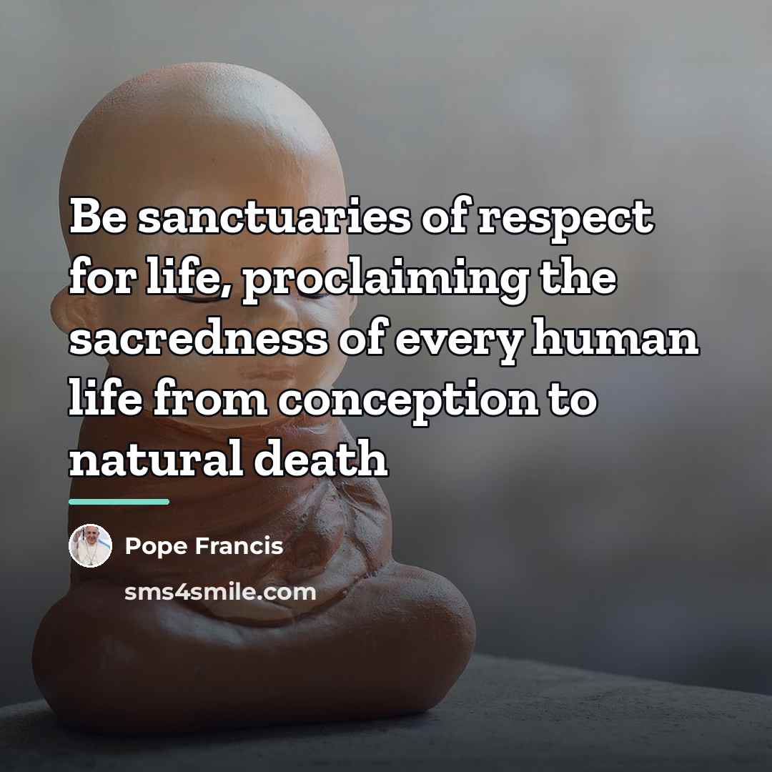 “Be sanctuaries of respect for life, proclaiming the sacredness of…” quote by Pope Francis