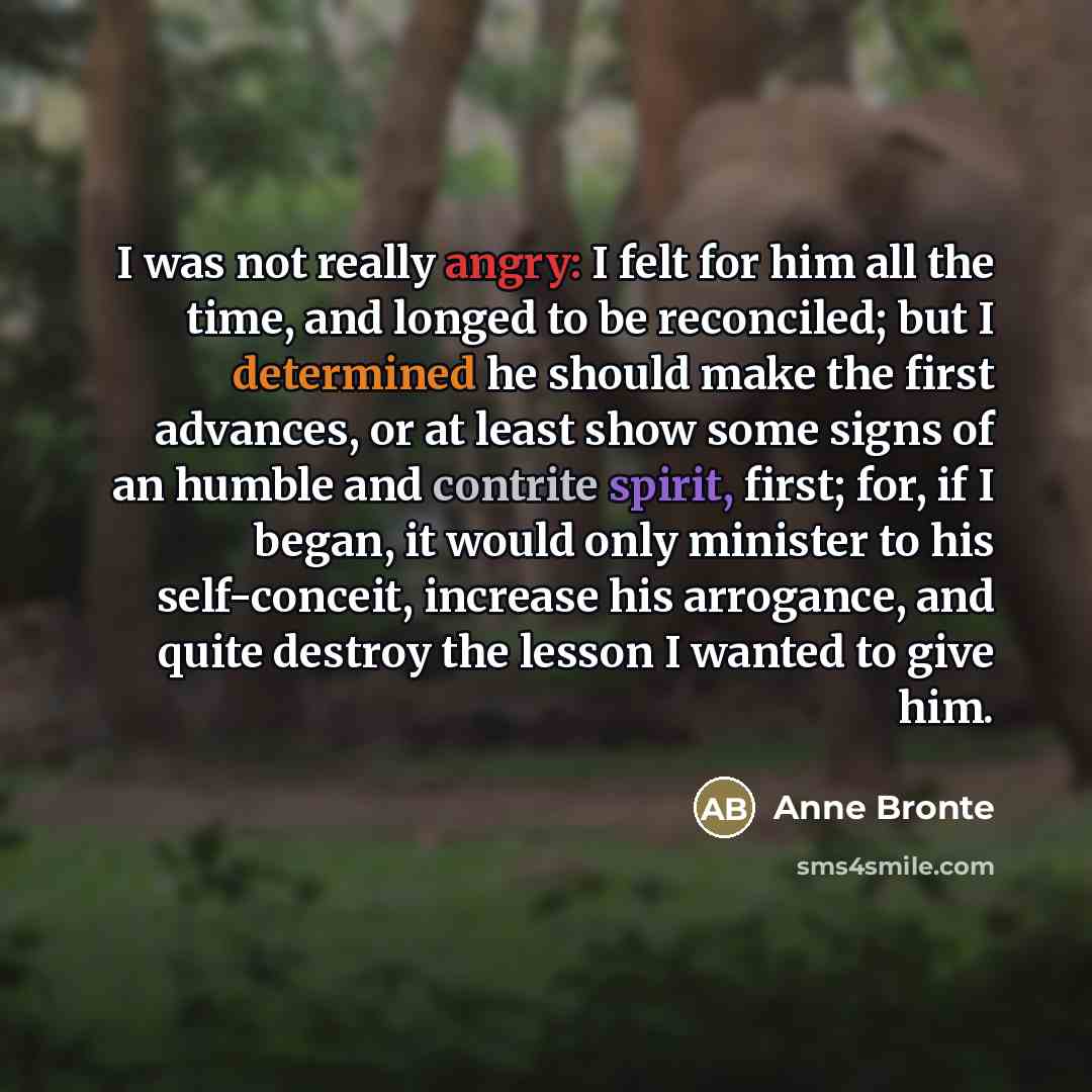 “I was not really angry: I felt for him all…” quote by Anne Bronte