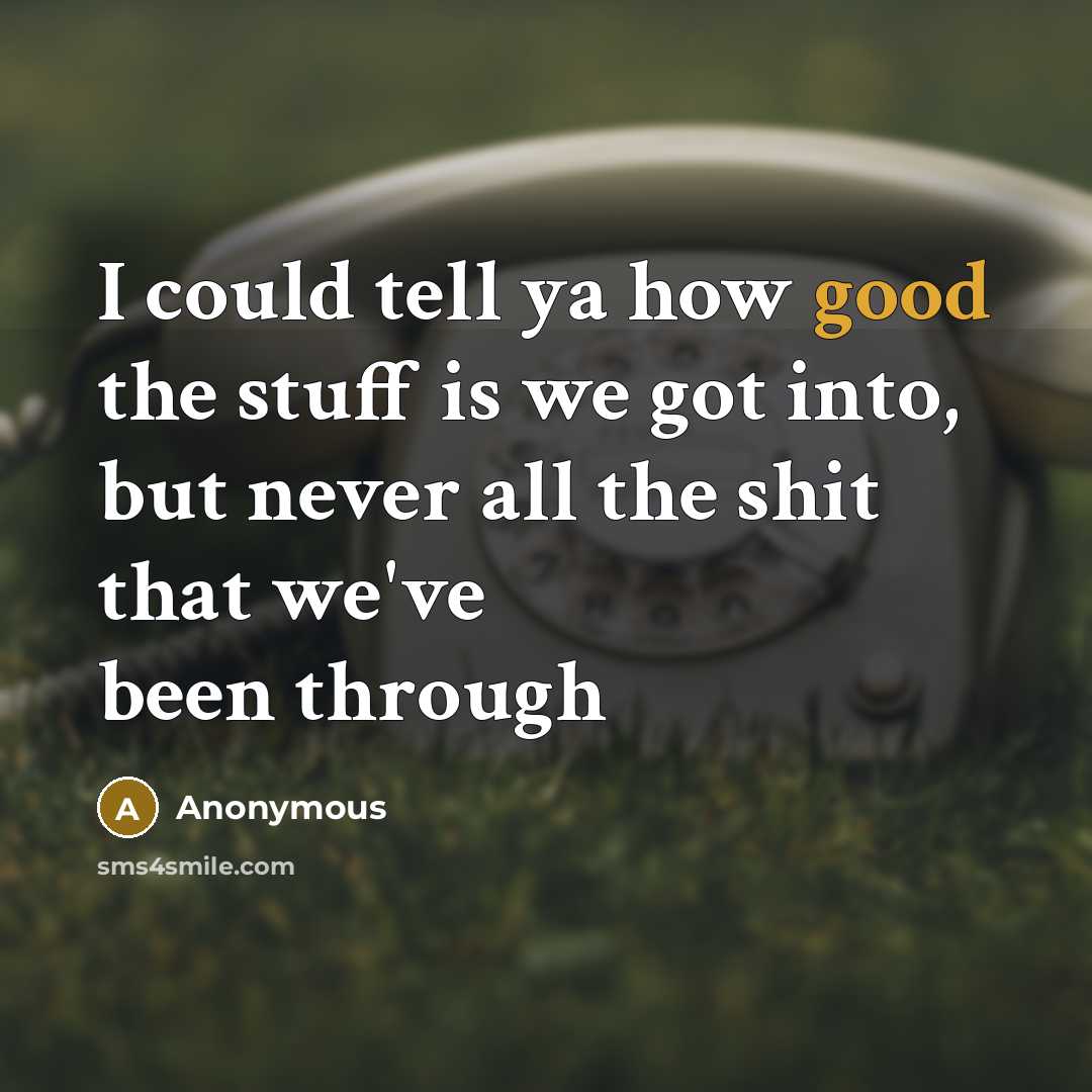 “I could tell ya how good the stuff is we got into, but never all the shit that we've been through” quote by Anonymous