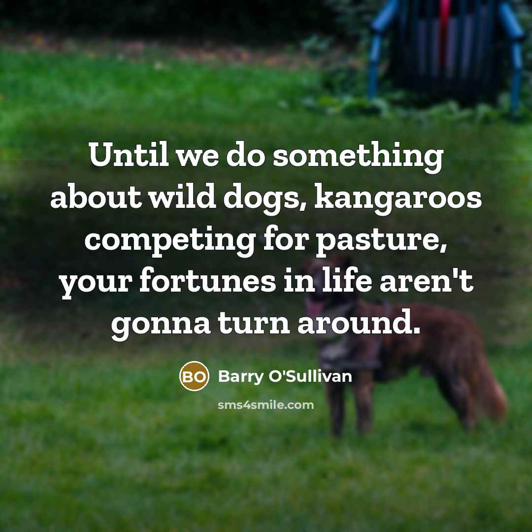 “Until we do something about wild dogs, kangaroos competing for…” quote by Barry O'Sullivan