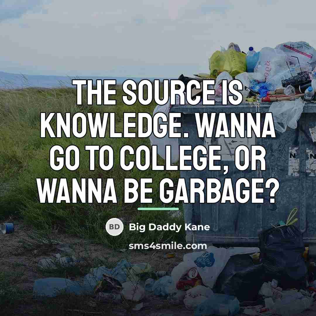 “The source is knowledge. Wanna go to college, or wanna…” quote by Big Daddy Kane