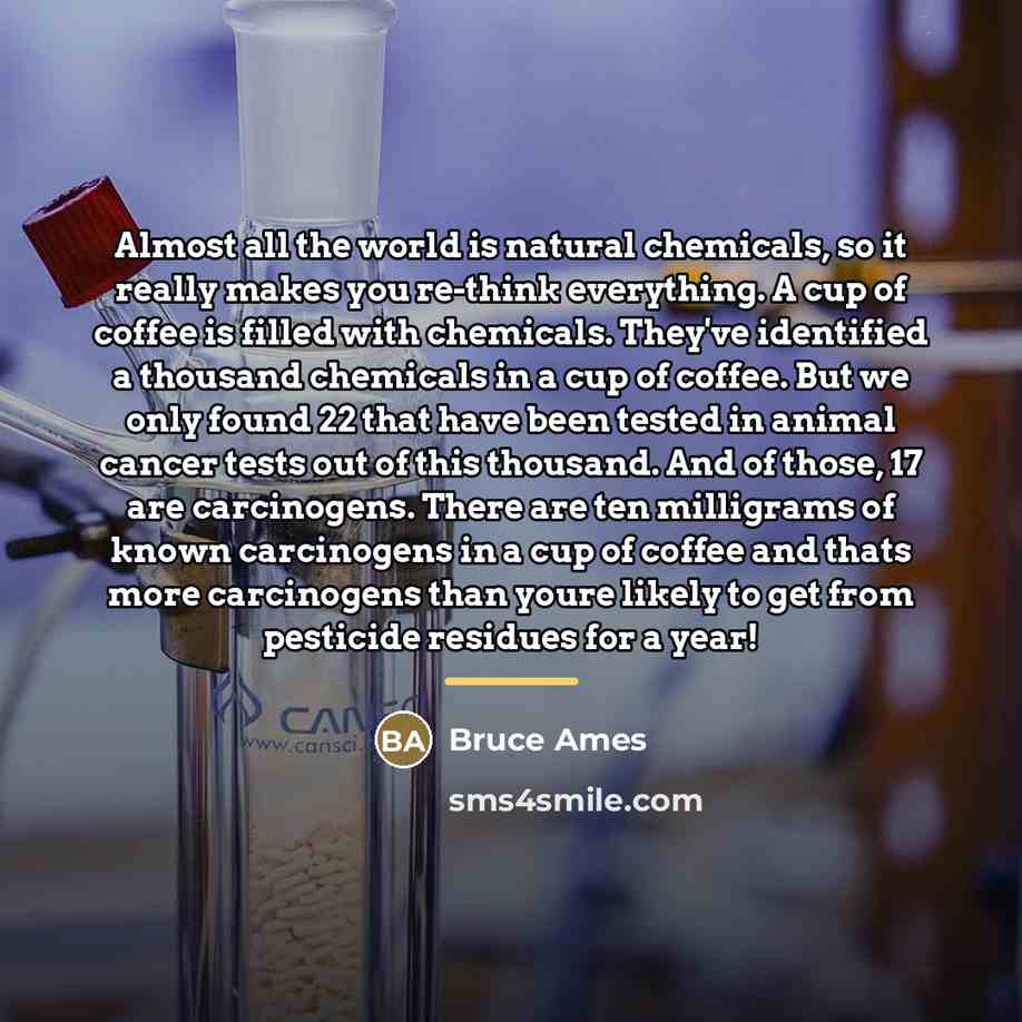 “Almost all the world is natural chemicals, so it really…” quote by Bruce Ames