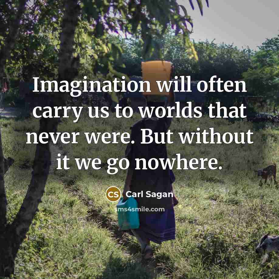 “Imagination will often carry us to worlds that never were.…” quote by Carl Sagan